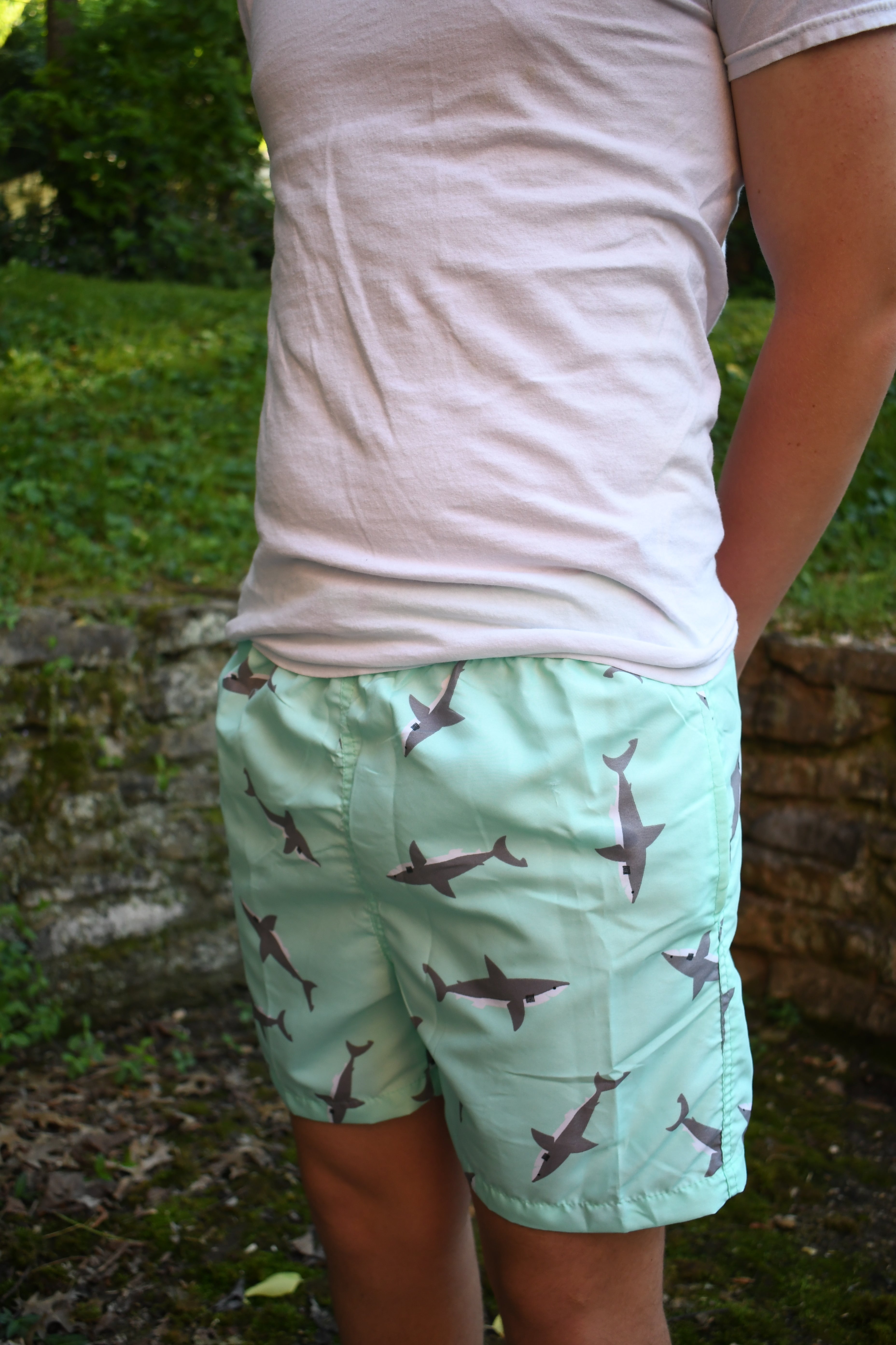 Shark Swim Trunks