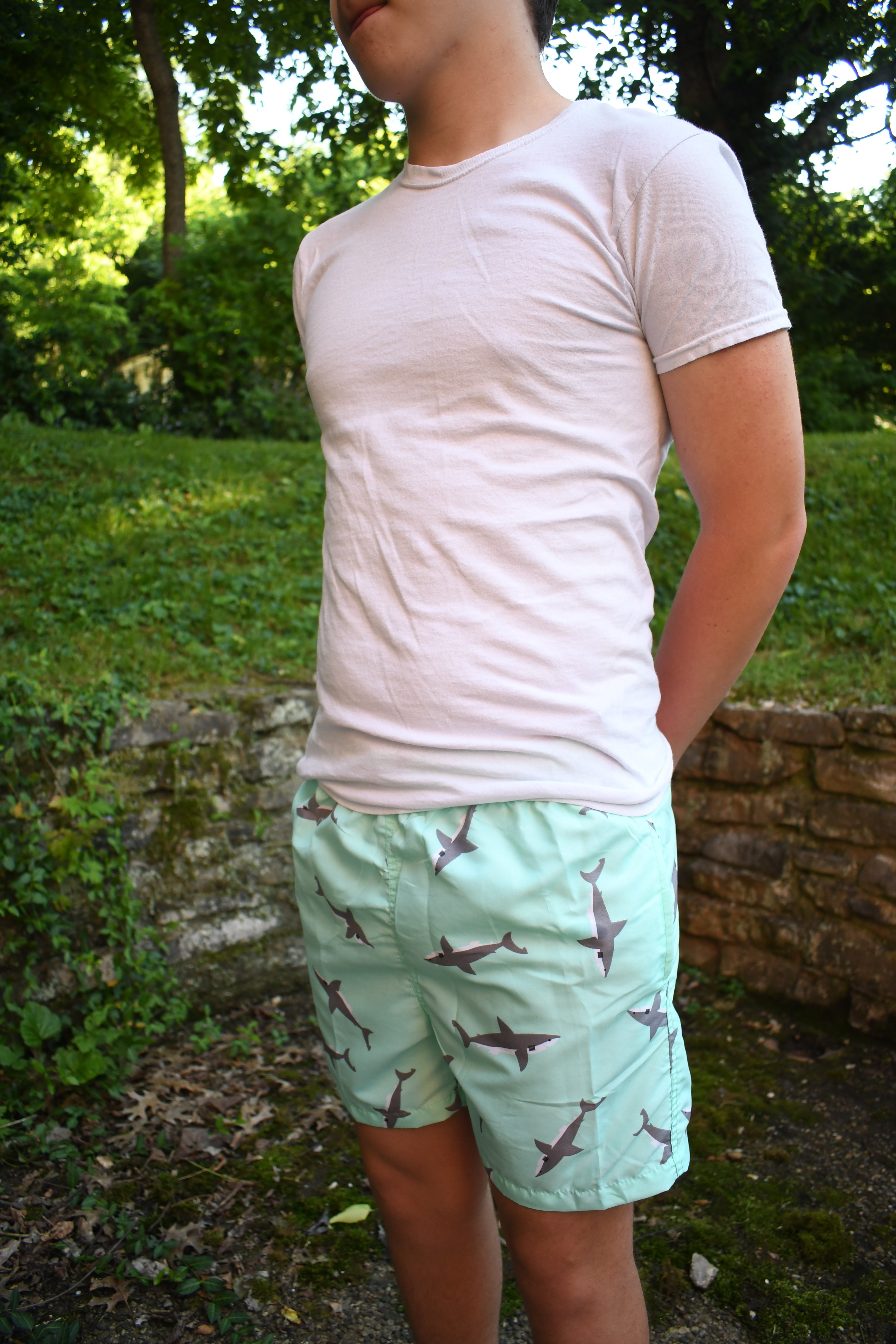 Shark Swim Trunks